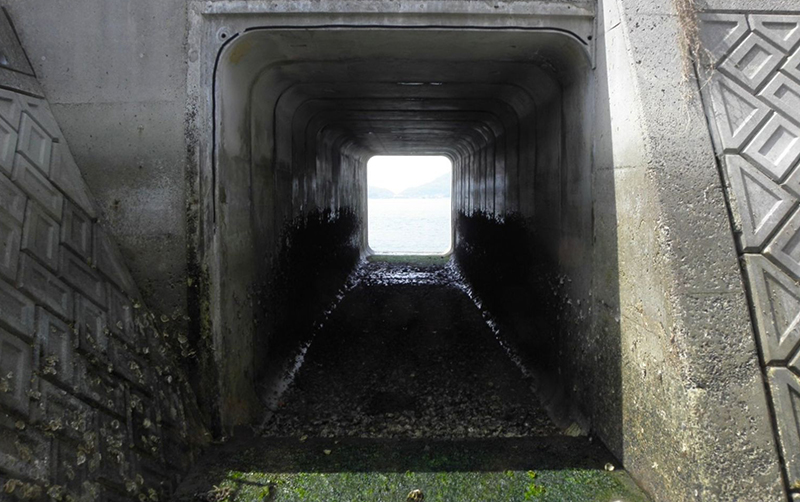 道路構造物設計